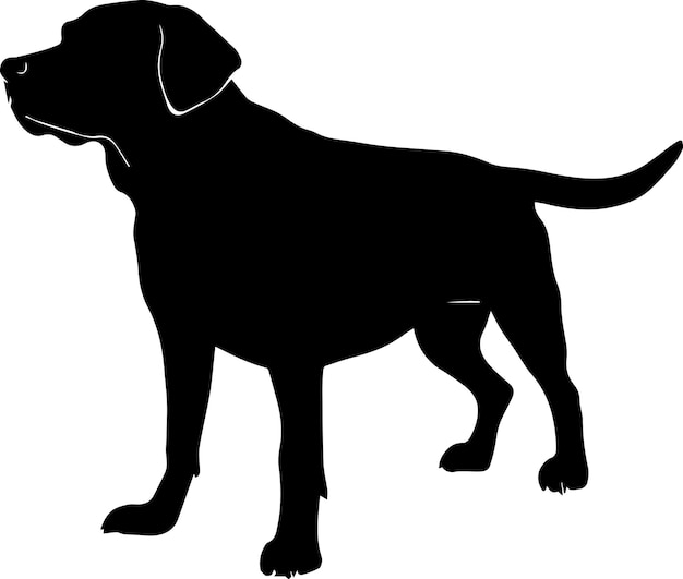 Labrador cane vettore silhouette illustrazione colore nero