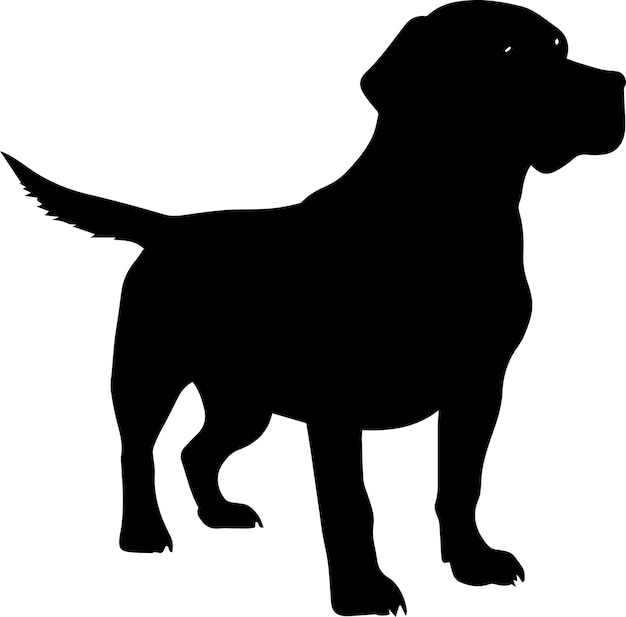 Labrador Dog Vector silhouette Illustration black color