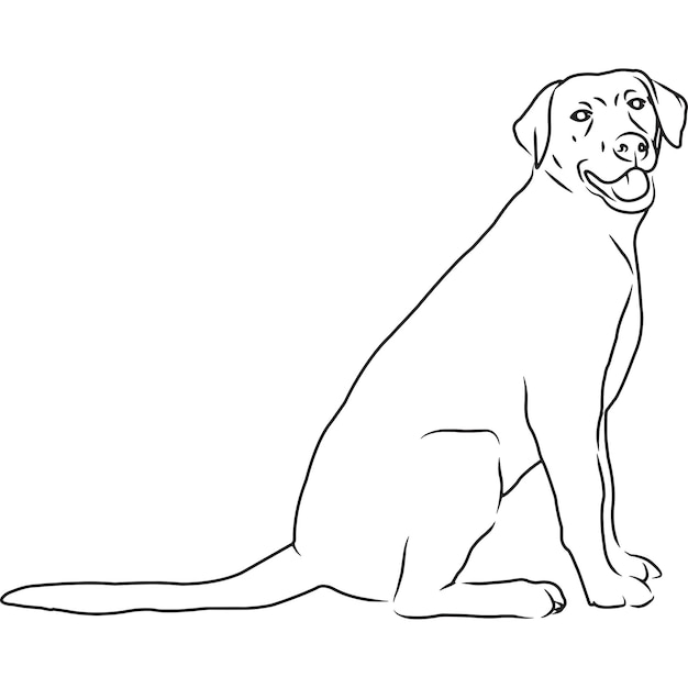 Labrador hond hand geschetst vector tekening