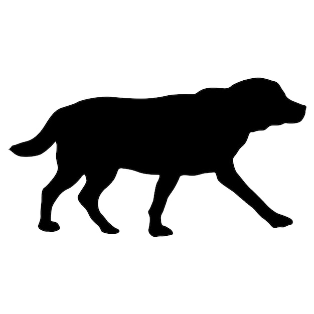 Labrador hond silhouet op een witte achtergrond