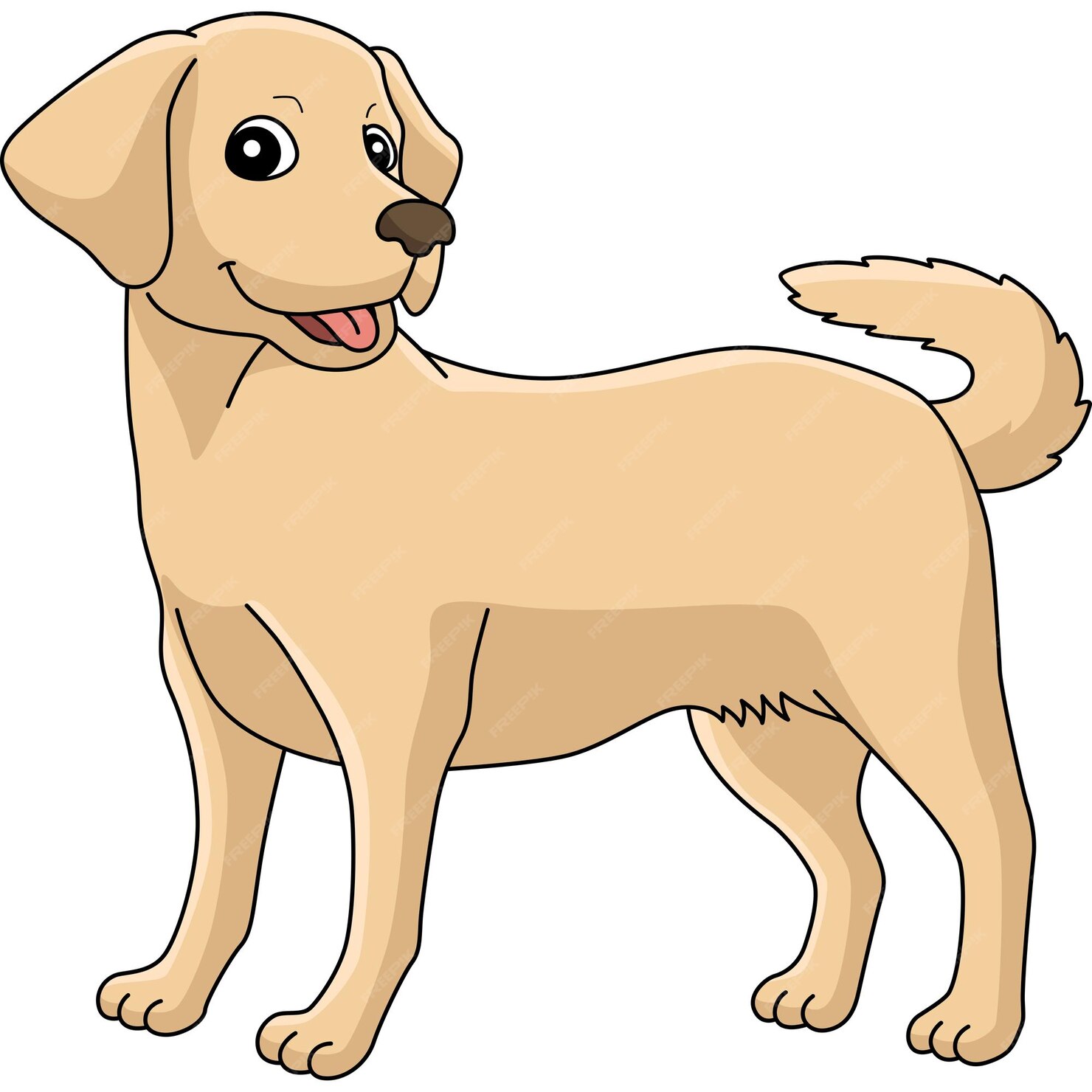 Premium Vector | Labrador retriever dog cartoon colored clipart