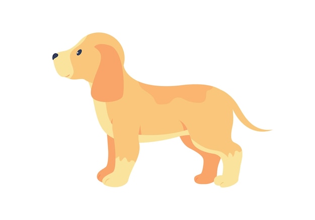 Labrador retriever puppy adoption semi flat color vector character