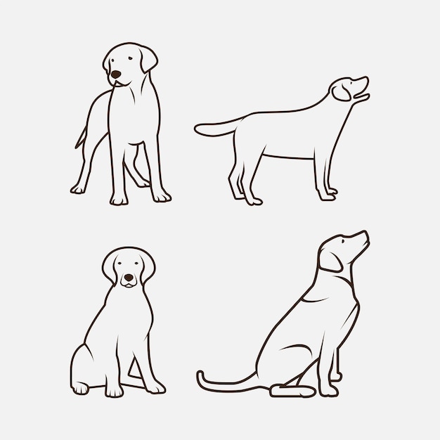 Labrador Retriever Vector