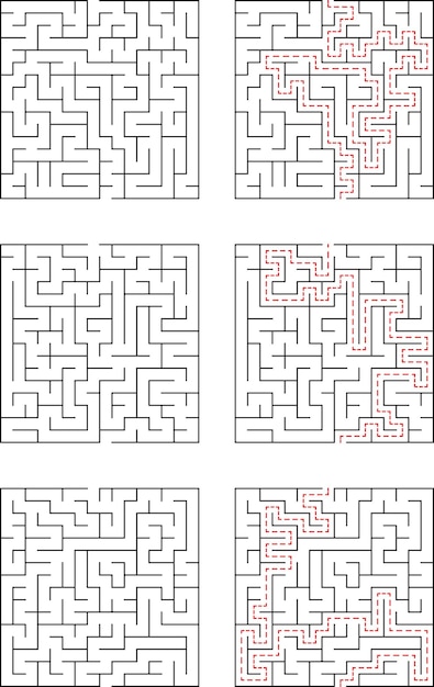 Labyrinten met opgeloste paden Een verzameling puzzels