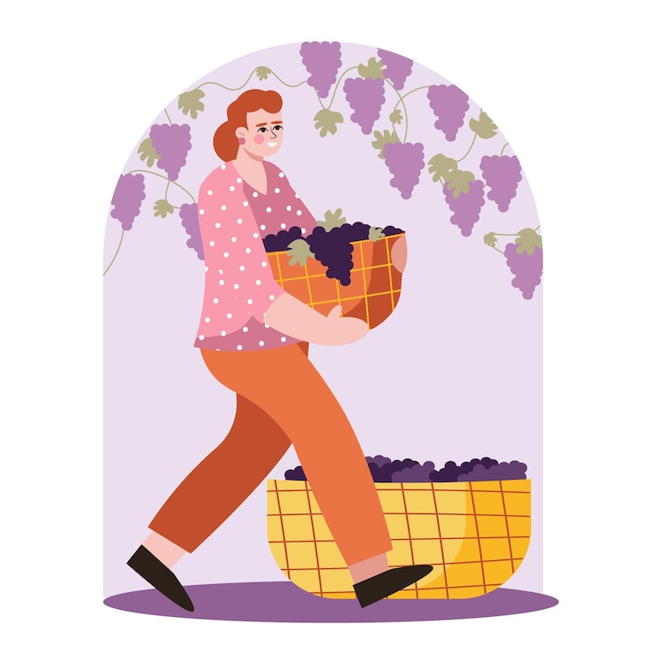 Vector lady carry basket with berries winemaking process with natural grapes