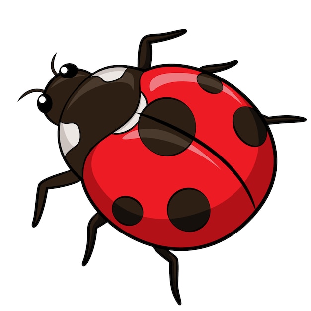 Ladybird cartoon