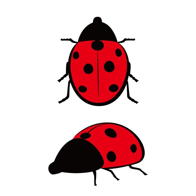 ladybird vector illustration beautiful ladybug sign and symbol