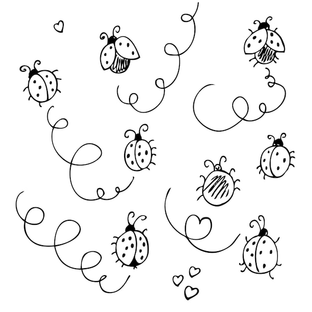 Vector ladybirds vector set hand drawn collection of funny cute ladybugs