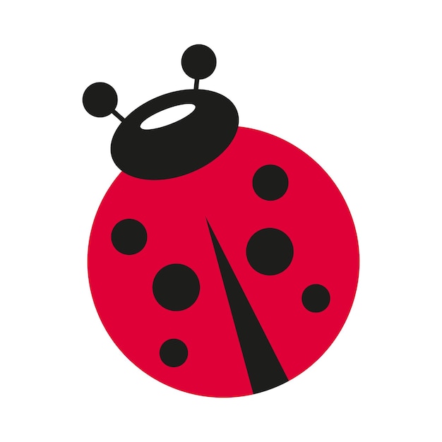 The ladybug beetle.