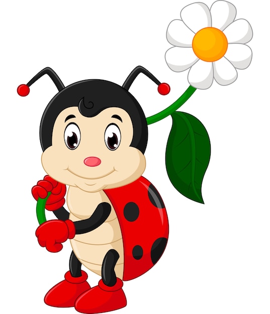 Ladybug cartoon