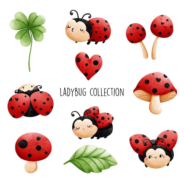 Vector ladybug collection vector illustration