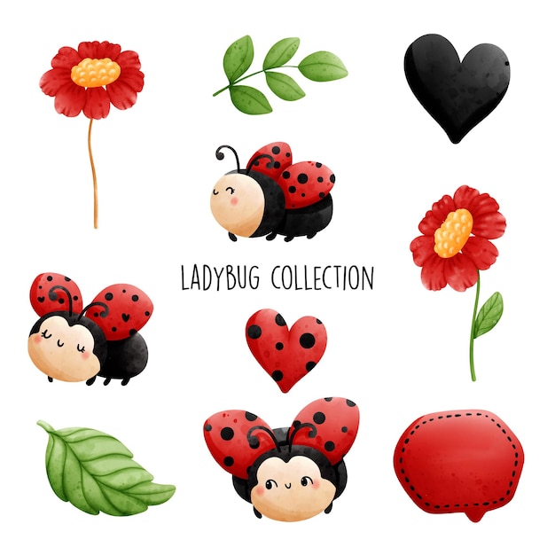 Vector ladybug collection vector illustration