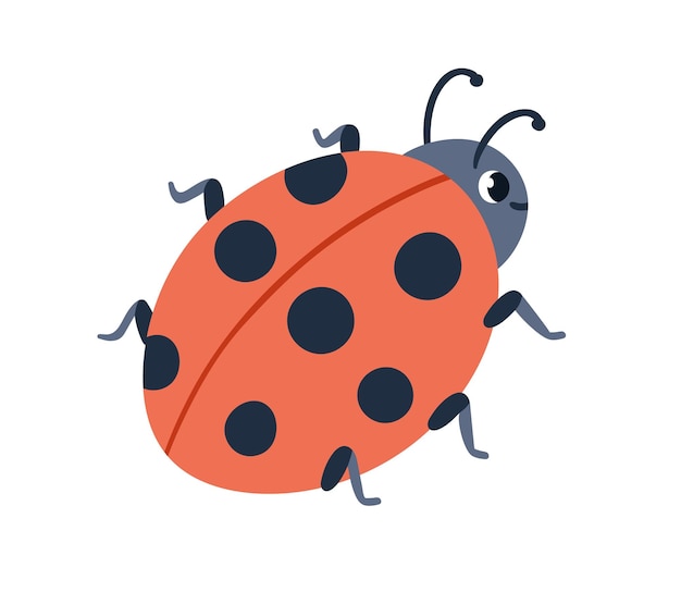 Cute Ladybug Insect Animal Animated PNG Illustration Stock Photo