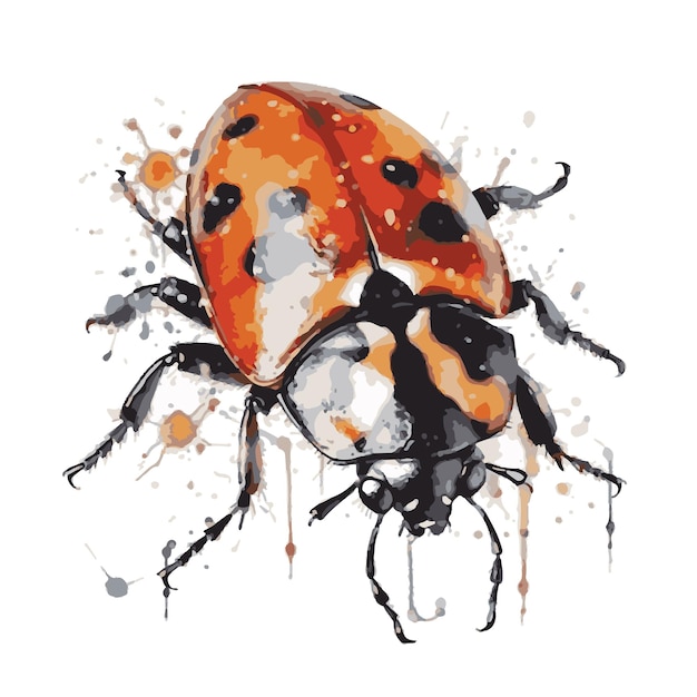 ladybug drawn with watercolor vector illustrator