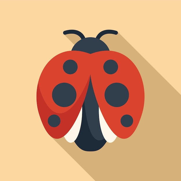 Vector above ladybug icon flat vector natural insect