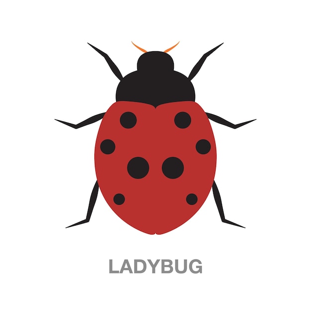 Ladybug illustration on transparent background