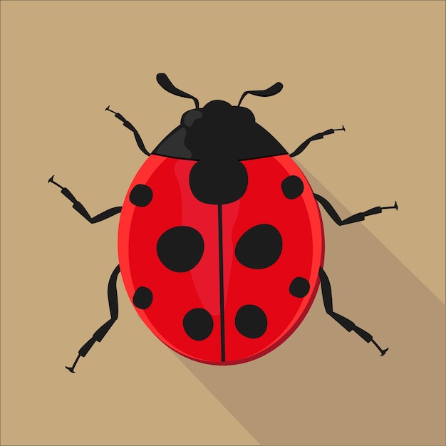 Vettore ladybug isolato stile piatto, illustrazione vettoriale.