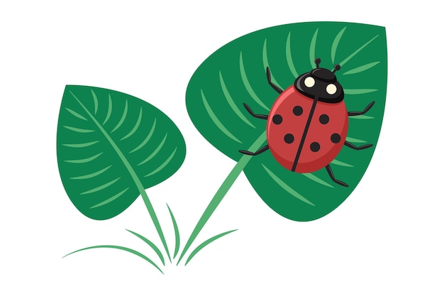 Ladybug sitting on a green leaf