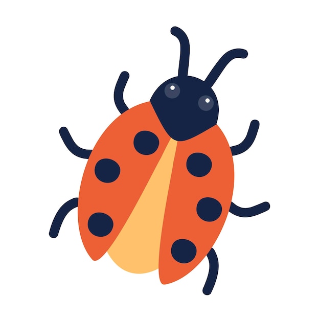 Coccinella. illustrazione vettoriale di un bug divertente in stile cartone animato. isolato su uno sfondo bianco.