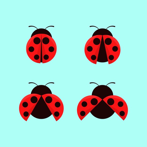 Vector ladybug vector illustration