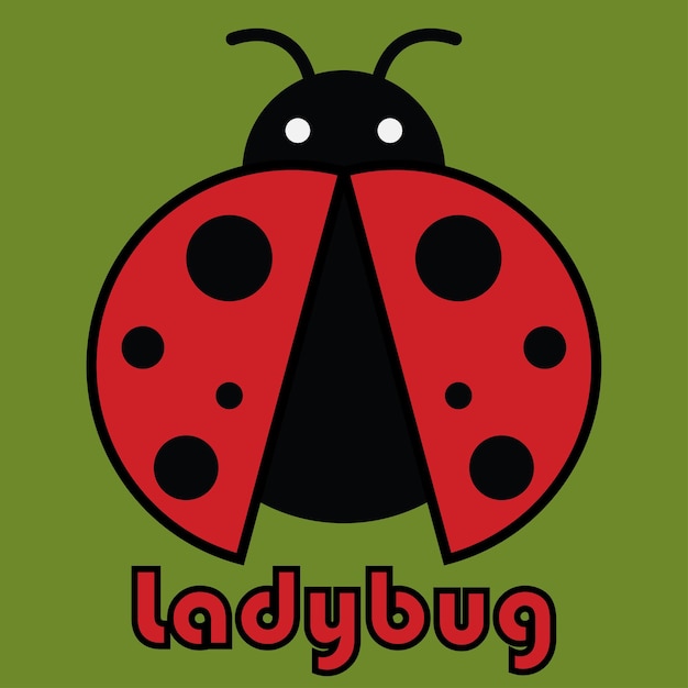 Ladybug vector