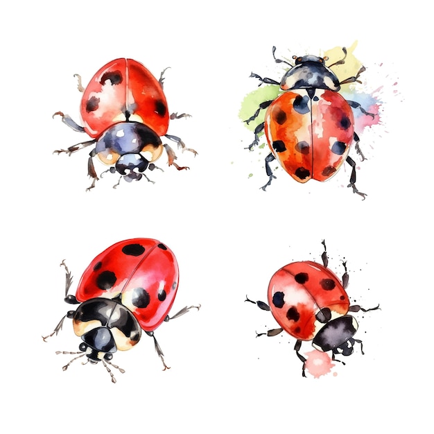 Vector ladybug watercolor paint collection