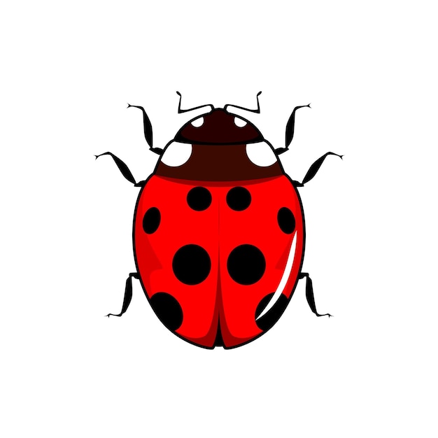 A ladybug with black dots and red spots is shown on a white background