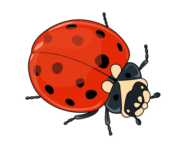 Vettore una coccinella con un corpo marrone