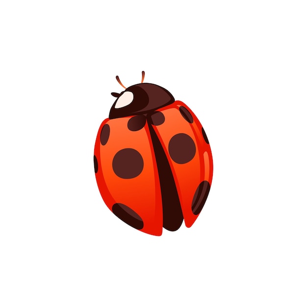 Coccinella con guscio chiuso scarabeo cartone animato bug design piatto illustrazione vettoriale isolato su sfondo bianco.