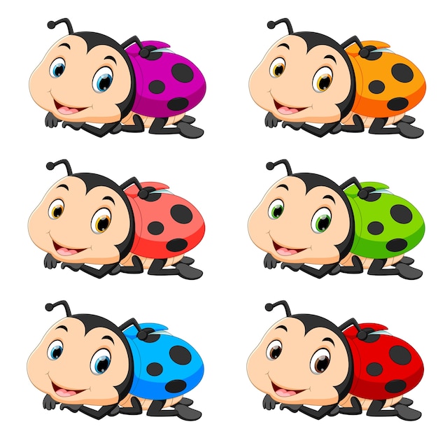 Ladybug with different color