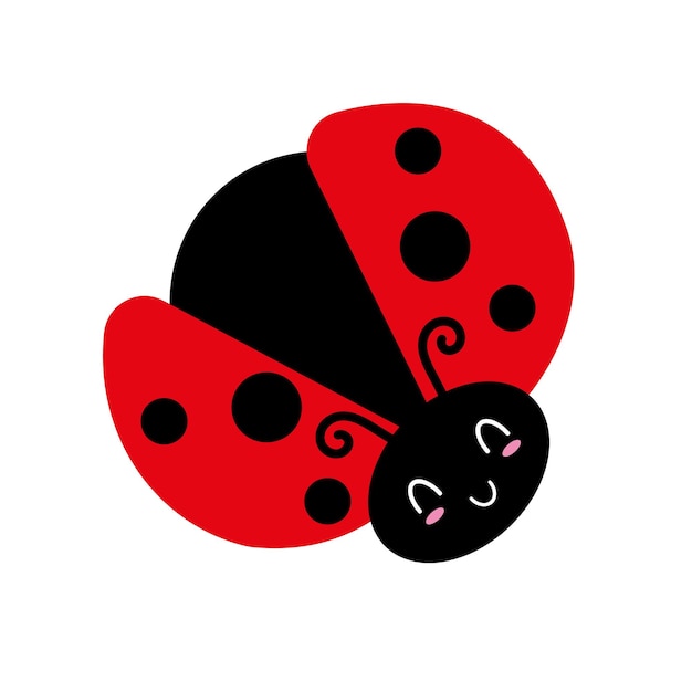 Coccinella