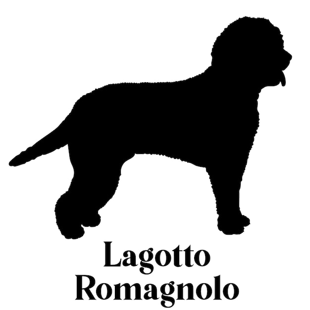 Lagotto Romagnolo Dog silhouette