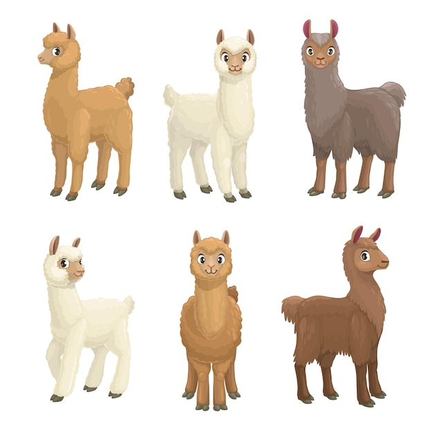 Lama, alpaca, guanaco, llama and vicuna animals cartoon set