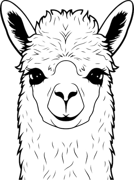 Lama Head Alpaca logo Vector illustration