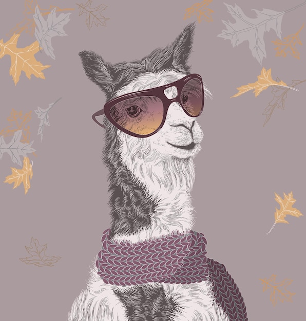 Lama op de herfstachtergrond in zonnebril en sjaal