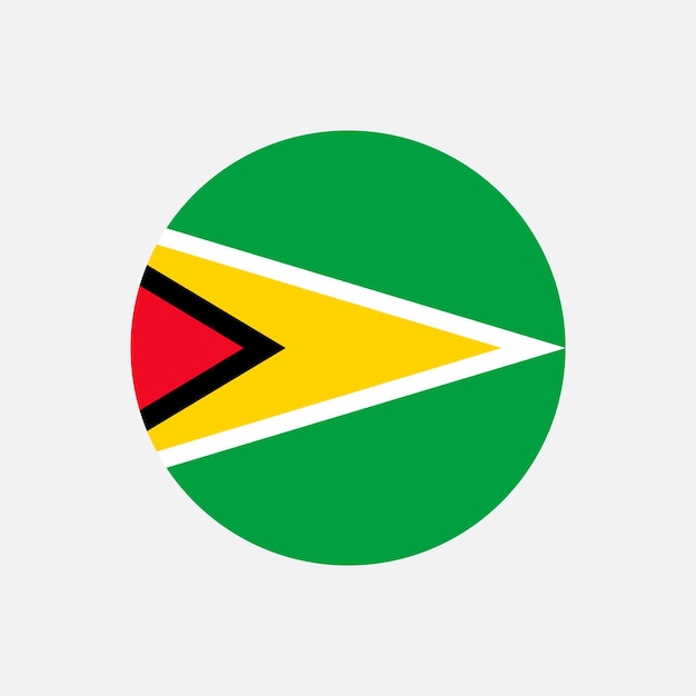 Land Guyana Guyana vlag Vector illustratie