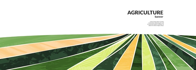 Landbouw boerderij groene banner organische abstracte veld achtergrond golvende groene lijnen reclame achtergrond webkop ecologie behang gestreept structuurpatroon panoramisch weidezicht abstracte heuvel