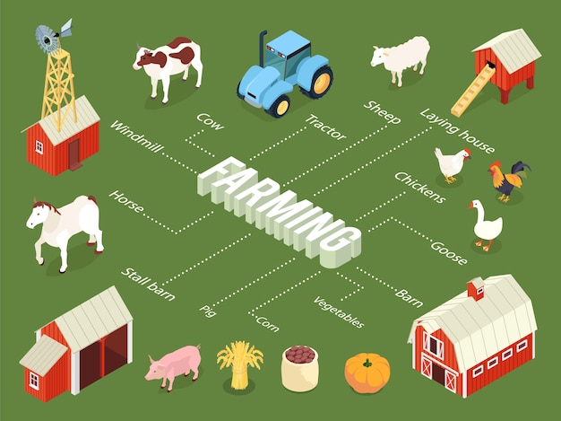 Vector landbouw isometrisch stroomdiagram met boerderij kraam schuur kippen leg huis tractor vee groenten gewassen windmolen