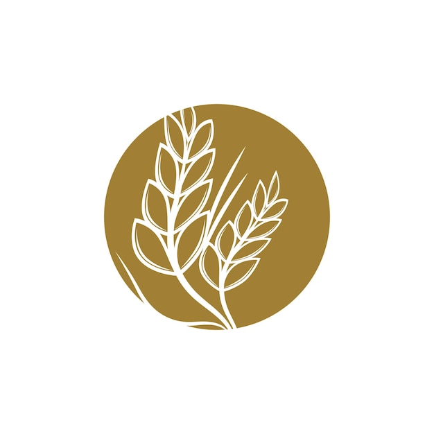 Landbouw tarwe logo vector sjabloon symbool ontwerp