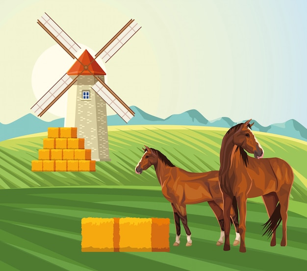 Landbouw windmolen balen hooi en paarden in het veld