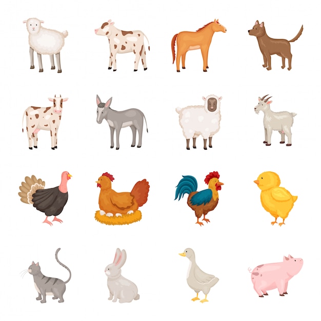 Vector landbouwhuisdieren cartoon icon set i