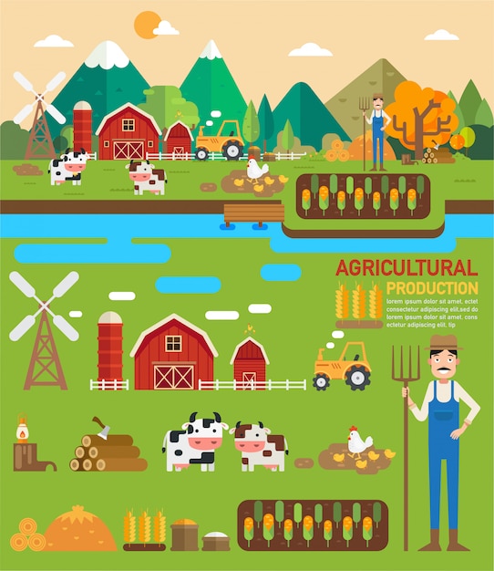 Landbouwproductie infographic