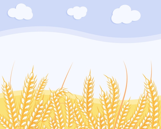 Paesaggio, spighe di grano, campo e cielo con nuvole. illustrazione d'autunno, cartolina, vettore