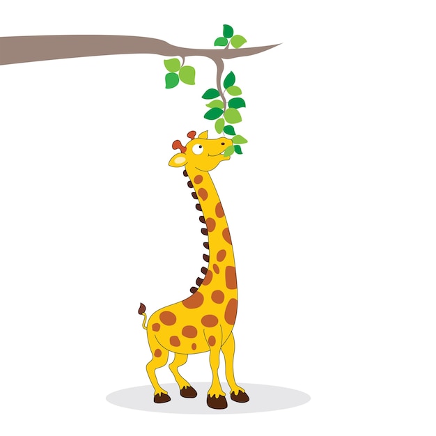 Vector landscape with a cute baby giraffe chewing the leaves of a tree on an isolated white background