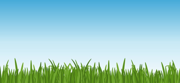 Vector landscape with dreen grass against the blue sky background. grass leaves and lawn at the foreground.