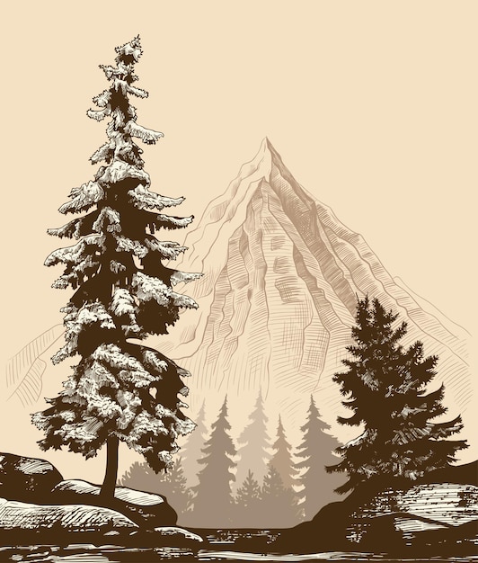 Vector landscape with fir trees on a rock coniferous forest and mountain view of the mountain