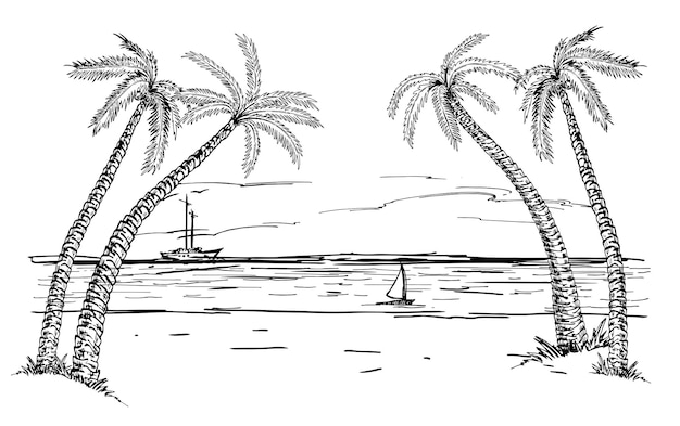 Landscape with sea and palm trees sketch Summer beach sketch vacation travel concept