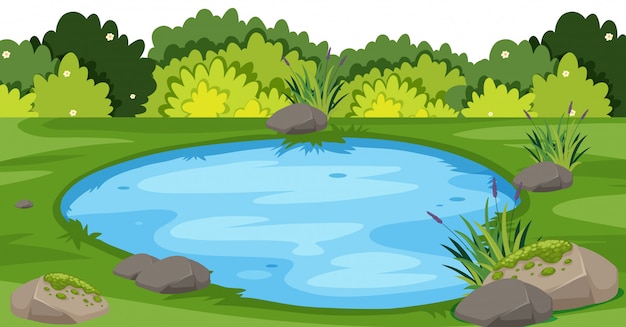 Vector landscape  with small pond in park