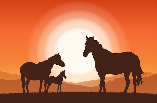 Landscape with sunset and silhouette of family horses.