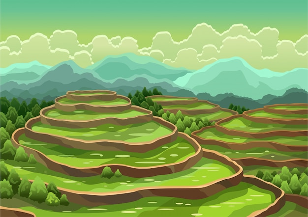 Vector landschap van padieveldterrassen. aziatische landelijke achtergrond. landbouw oogsten granen of thee